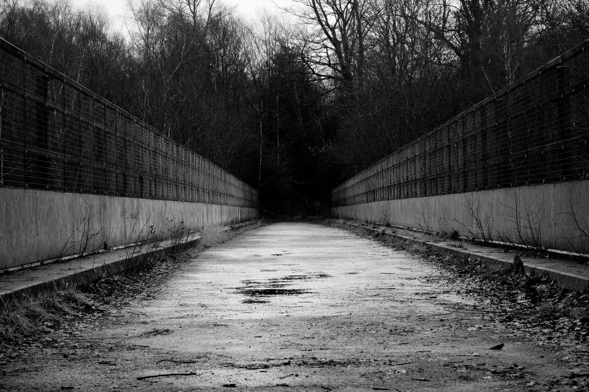 A black-and-white photograph of a cracked, empty road flanked by tall concrete walls and wire fencing, leading into a dark, leafless forest.